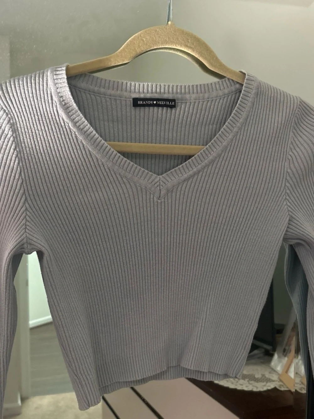Brandy Melville Light Blue V-Neck Sweater